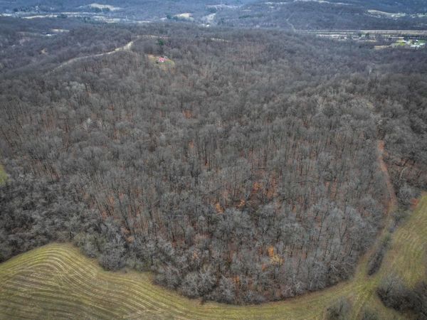 0 Tract 14 Cr 7 Rear , Caldwell, OH 43724