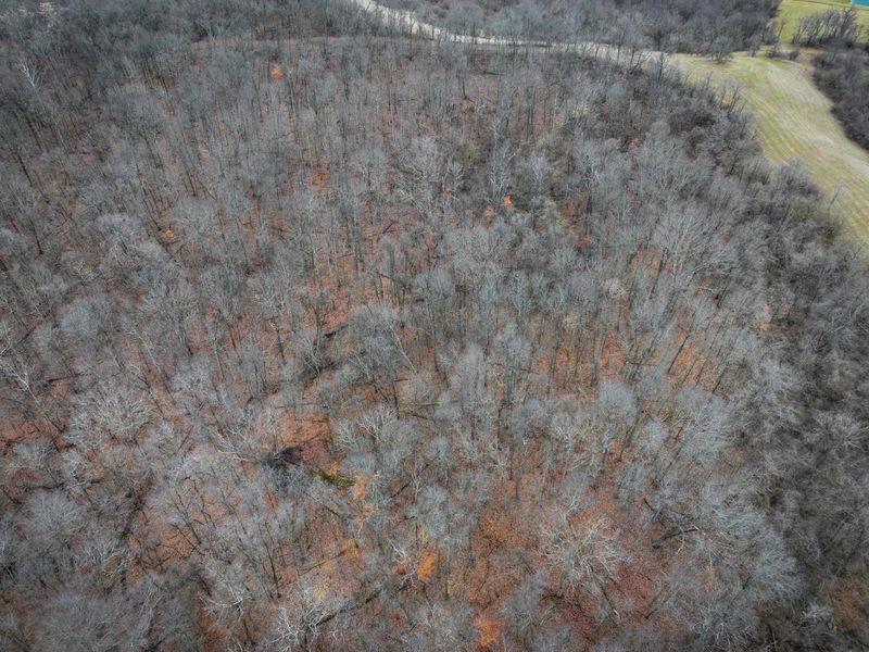 0 Tract 14 Cr 7 Rear , Caldwell, OH 43724 Photo 10