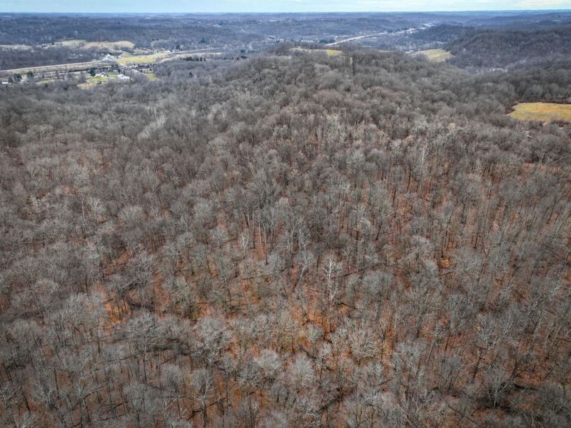 0 Tract 14 Cr 7 Rear , Caldwell, OH 43724 Photo 11