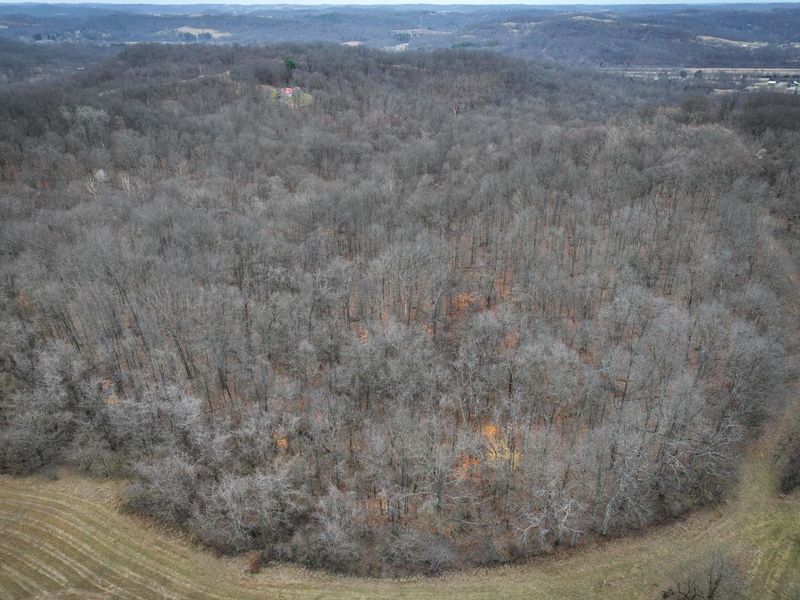 0 Tract 14 Cr 7 Rear , Caldwell, OH 43724 Photo 12