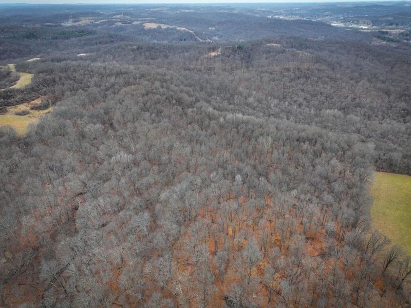 0 Tract 14 Cr 7 Rear , Caldwell, OH 43724 Photo 3