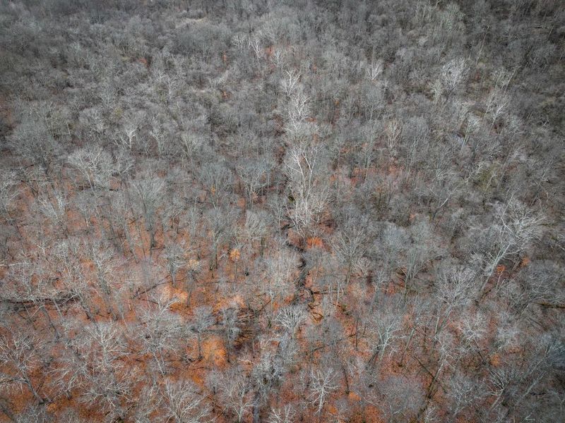 0 Tract 14 Cr 7 Rear , Caldwell, OH 43724 Photo 5