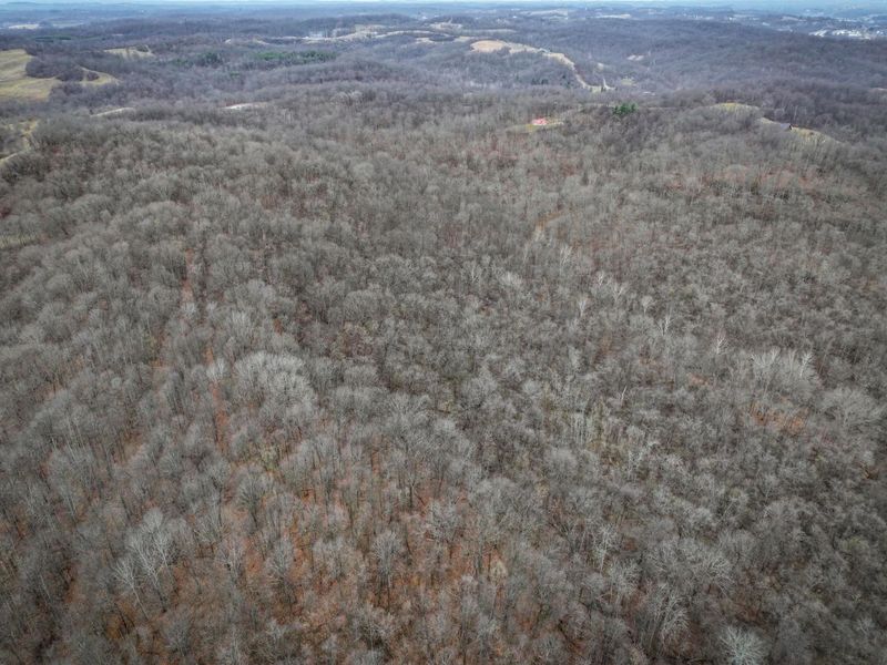 0 Tract 14 Cr 7 Rear , Caldwell, OH 43724 Photo 7