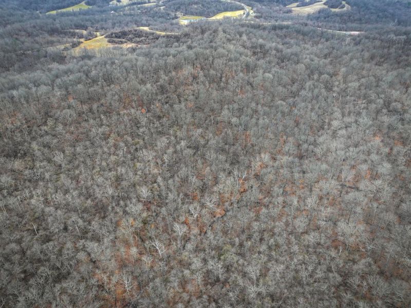 0 Tract 14 Cr 7 Rear , Caldwell, OH 43724 Photo 8