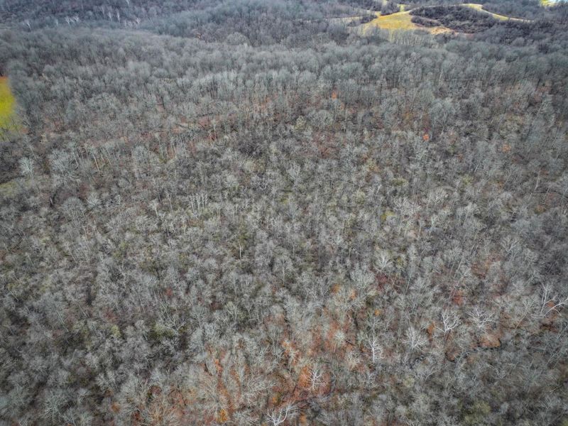 0 Tract 14 Cr 7 Rear , Caldwell, OH 43724 Photo 9