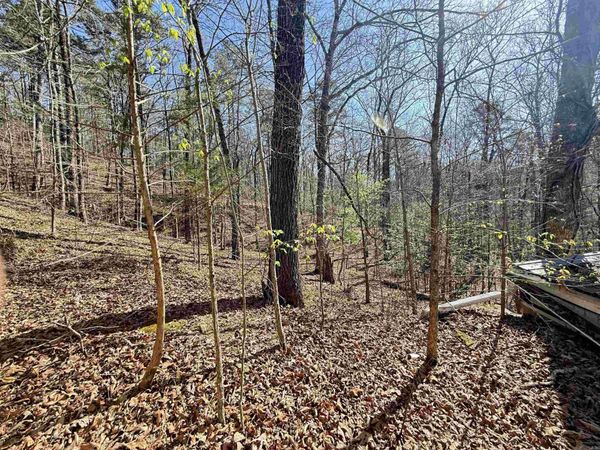 100 Acres Jones Valley, Caddo Gap, AR 71935