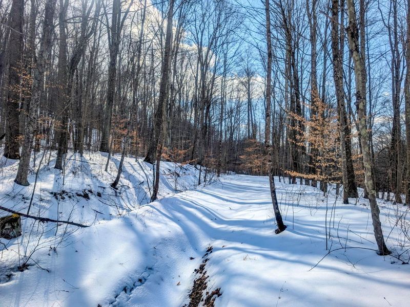 0 Tract 15 Peaker Run Rd , Macksburg, OH 45746 Photo 1