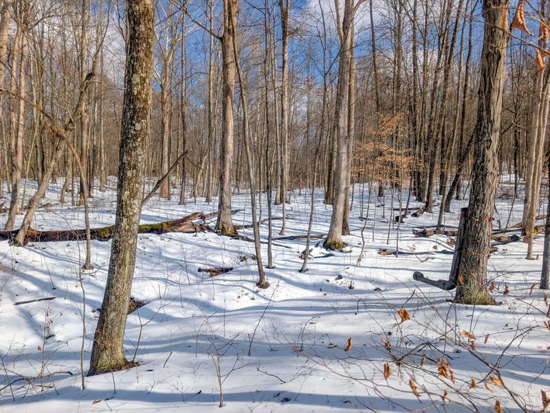 0 Tract 15 Peaker Run Rd , Macksburg, OH 45746 Photo 12