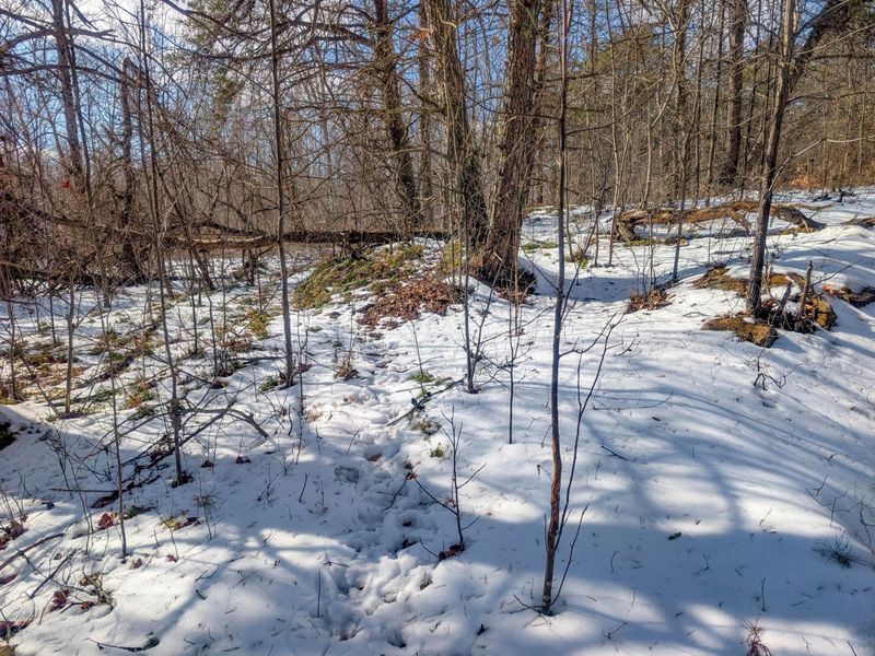 0 Tract 15 Peaker Run Rd , Macksburg, OH 45746 Photo 14