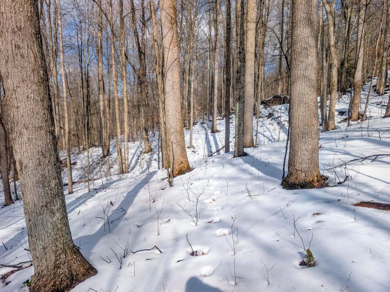 0 Tract 15 Peaker Run Rd , Macksburg, OH 45746 Photo 15