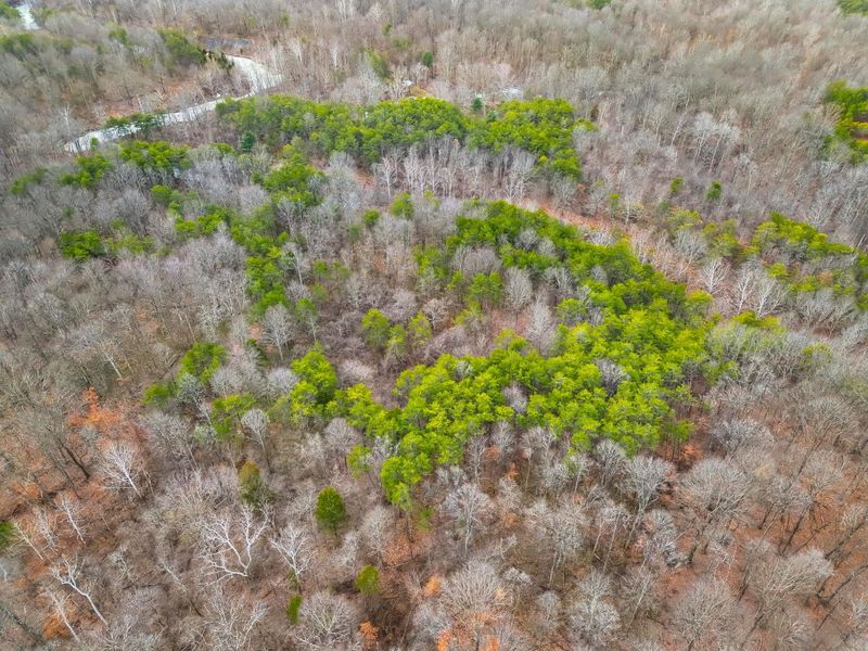 0 Tract 15 Peaker Run Rd , Macksburg, OH 45746 Photo 17