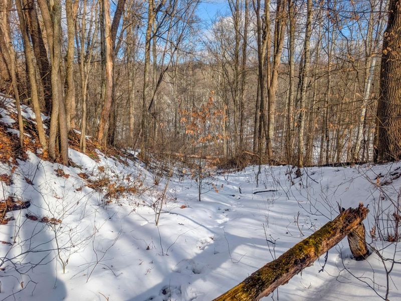 0 Tract 15 Peaker Run Rd , Macksburg, OH 45746 Photo 24