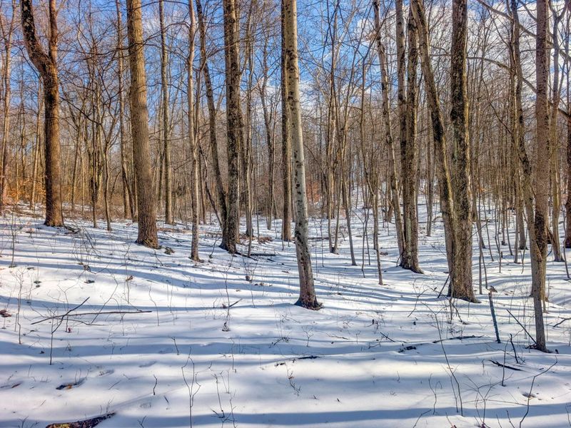 0 Tract 15 Peaker Run Rd , Macksburg, OH 45746 Photo 25