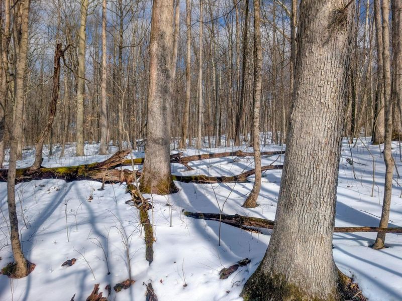 0 Tract 15 Peaker Run Rd , Macksburg, OH 45746 Photo 3