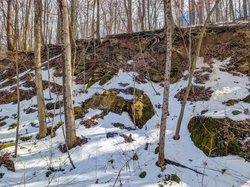 0 Tract 15 Peaker Run Rd , Macksburg, OH 45746 Photo 32