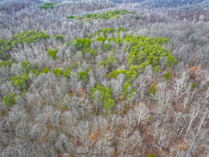 0 Tract 15 Peaker Run Rd , Macksburg, OH 45746 Photo 34