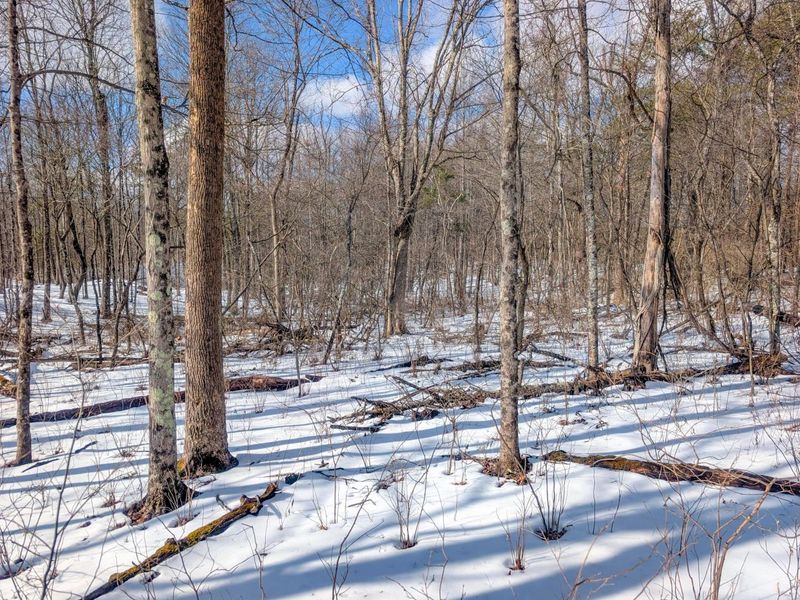 0 Tract 15 Peaker Run Rd , Macksburg, OH 45746 Photo 35