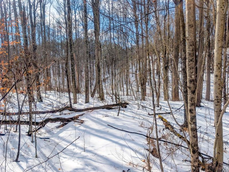 0 Tract 15 Peaker Run Rd , Macksburg, OH 45746 Photo 4