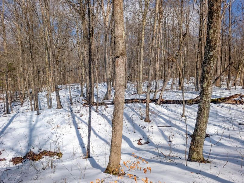 0 Tract 15 Peaker Run Rd , Macksburg, OH 45746 Photo 6