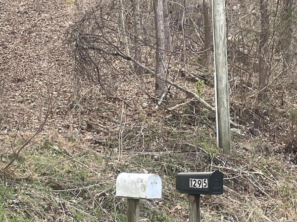 1295 Sussex Rd, Dayton, TN 37321