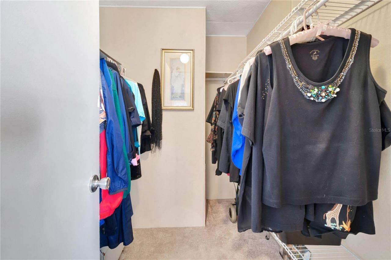 2236 Evergreen Circle, Unit 1704, Zellwood, FL 32798 Photo