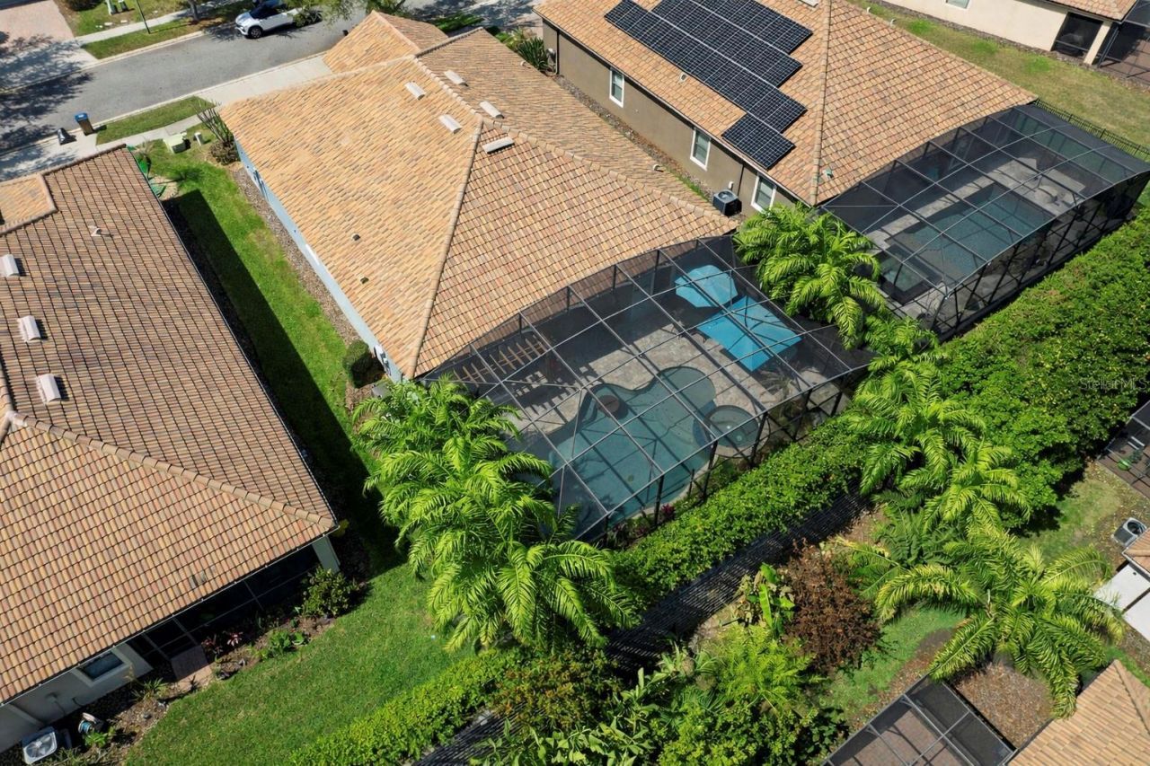 1389 Dolphin Head Street, Champions Gate, FL 33896 Photo