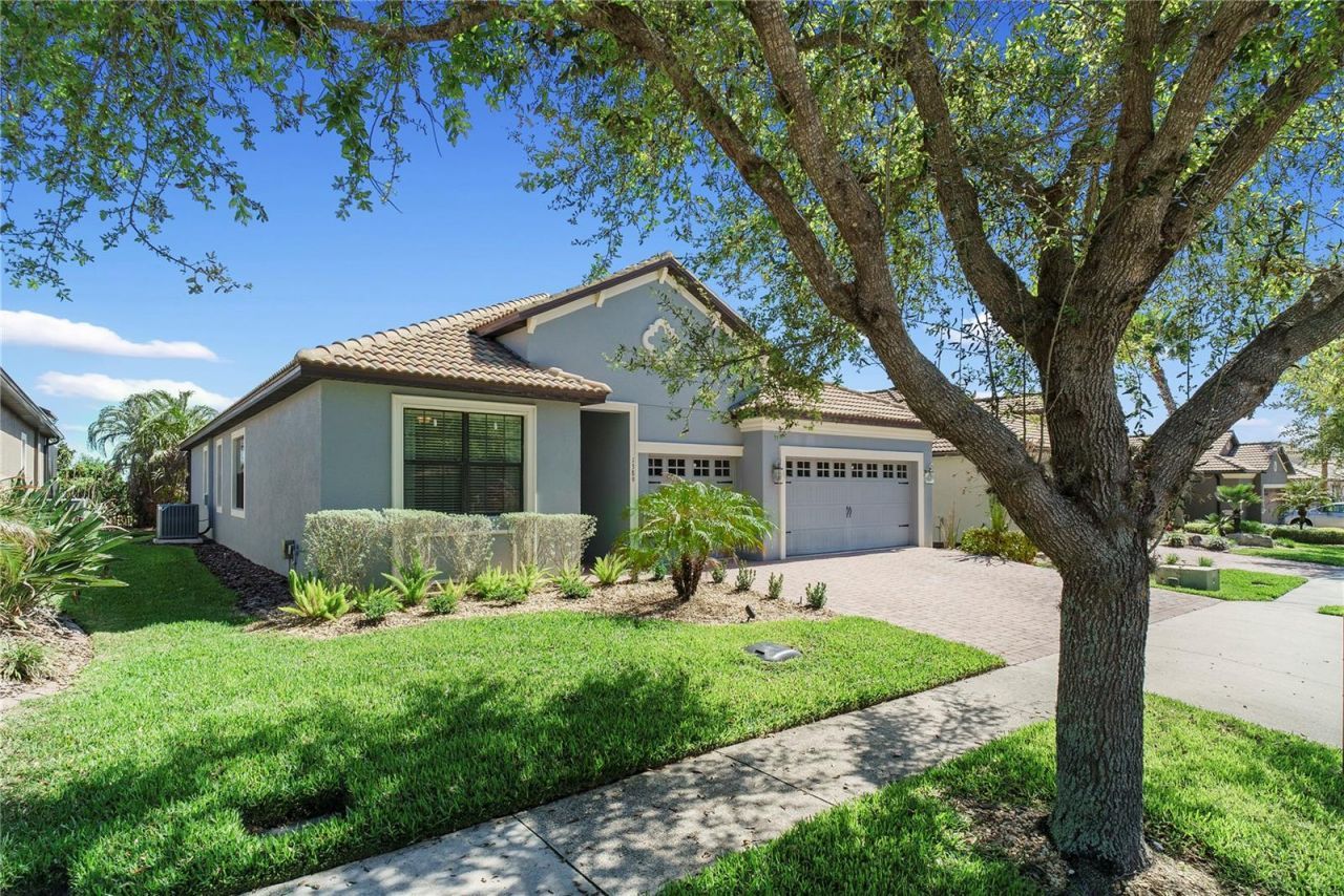 1389 Dolphin Head Street, Champions Gate, FL 33896 Photo