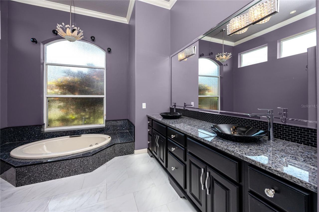 1471 Briargrove Way, Oldsmar, FL 34677 Photo