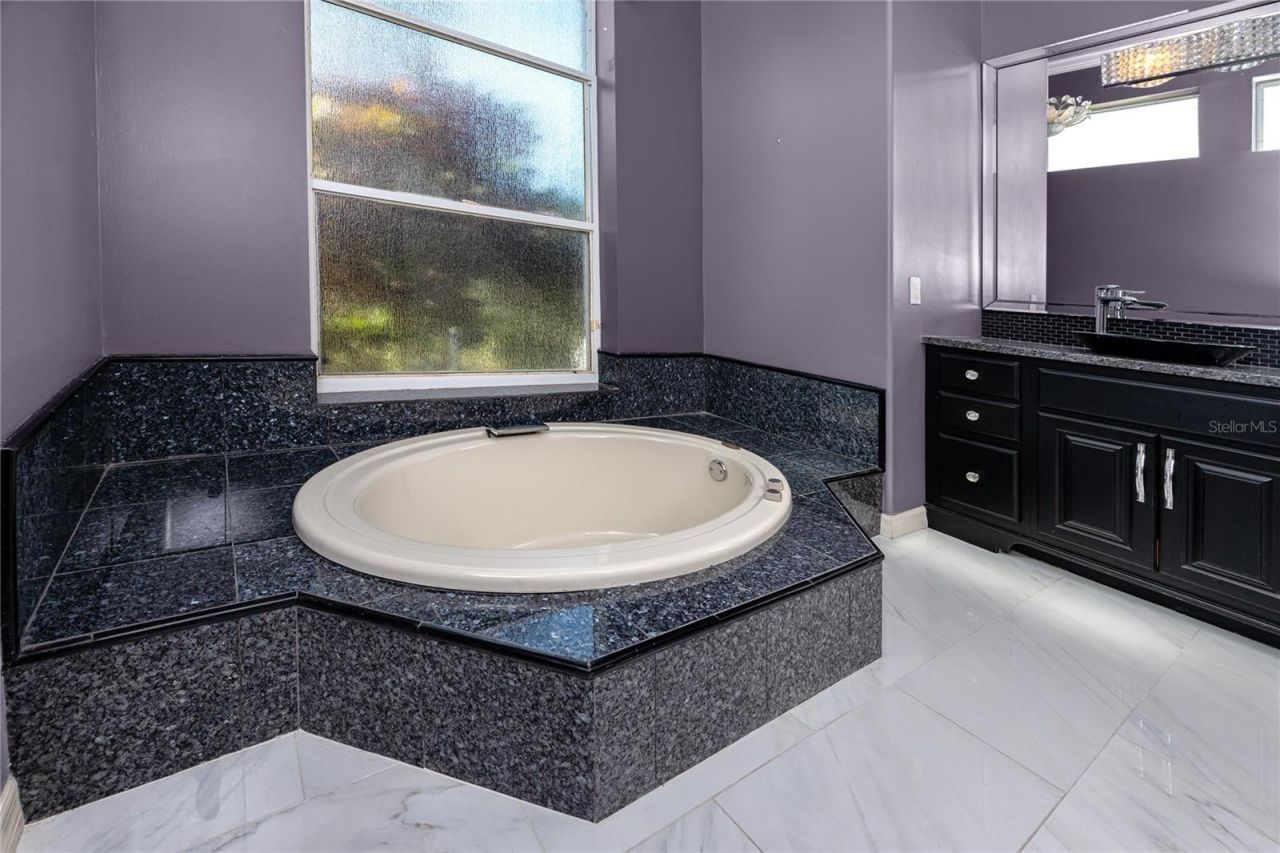 1471 Briargrove Way, Oldsmar, FL 34677 Photo