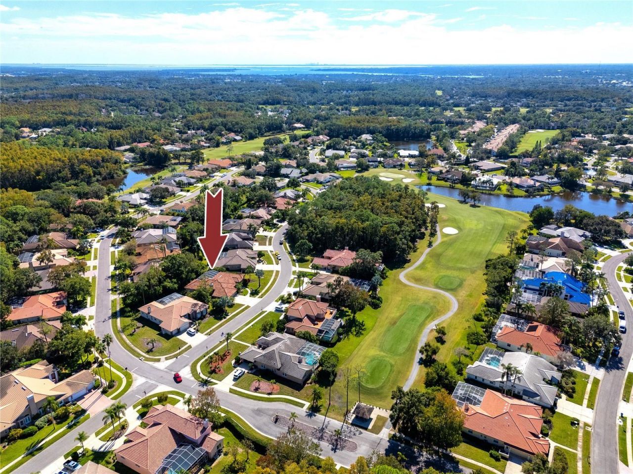 1471 Briargrove Way, Oldsmar, FL 34677 Photo