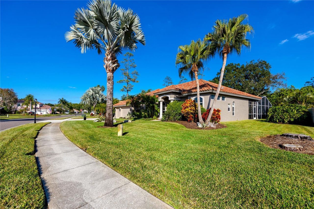 1471 Briargrove Way, Oldsmar, FL 34677 Photo
