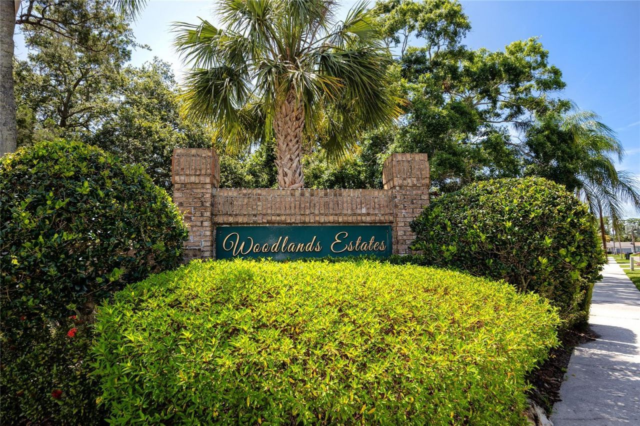 1471 Briargrove Way, Oldsmar, FL 34677 Photo