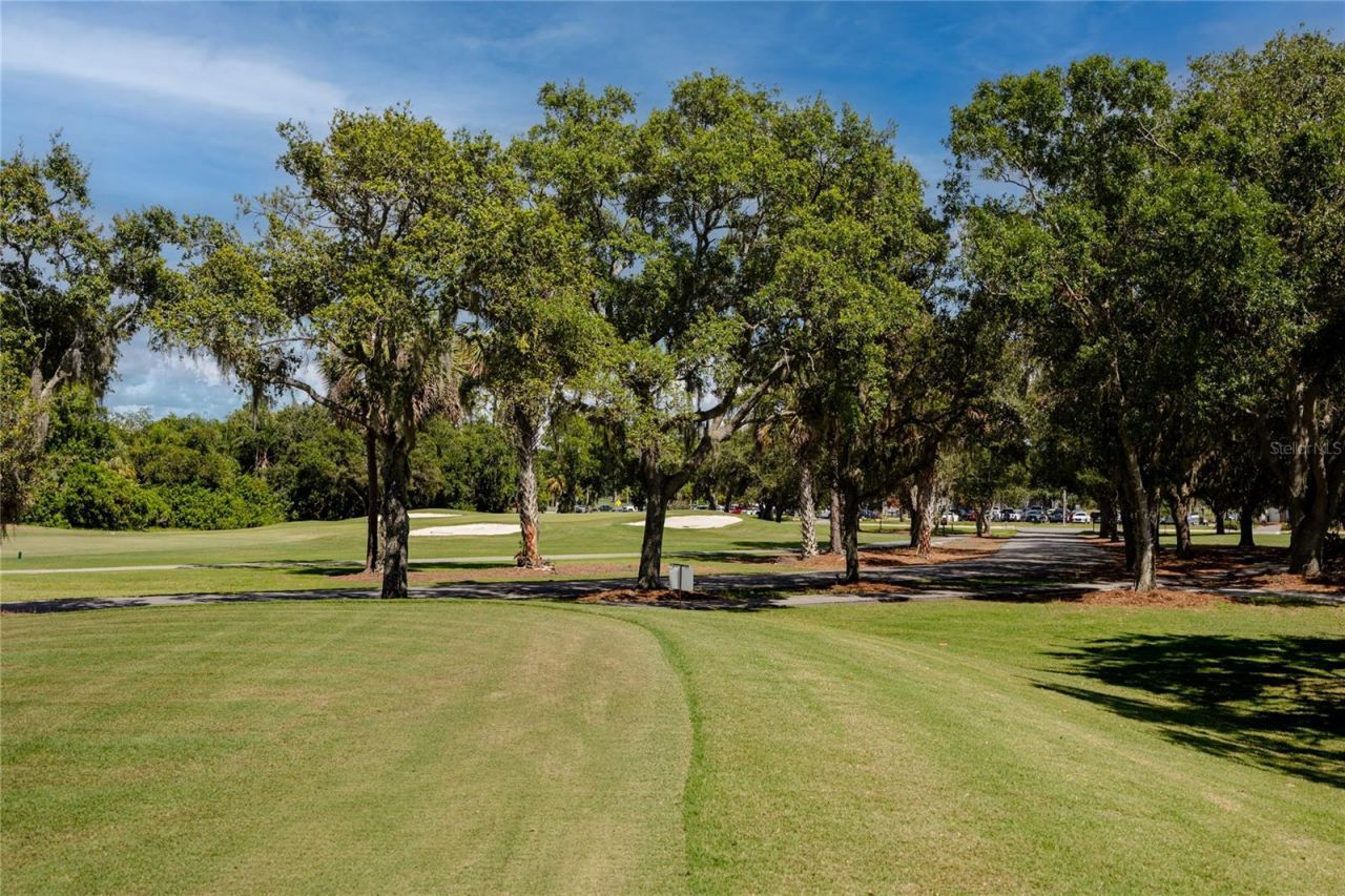 1471 Briargrove Way, Oldsmar, FL 34677 Photo
