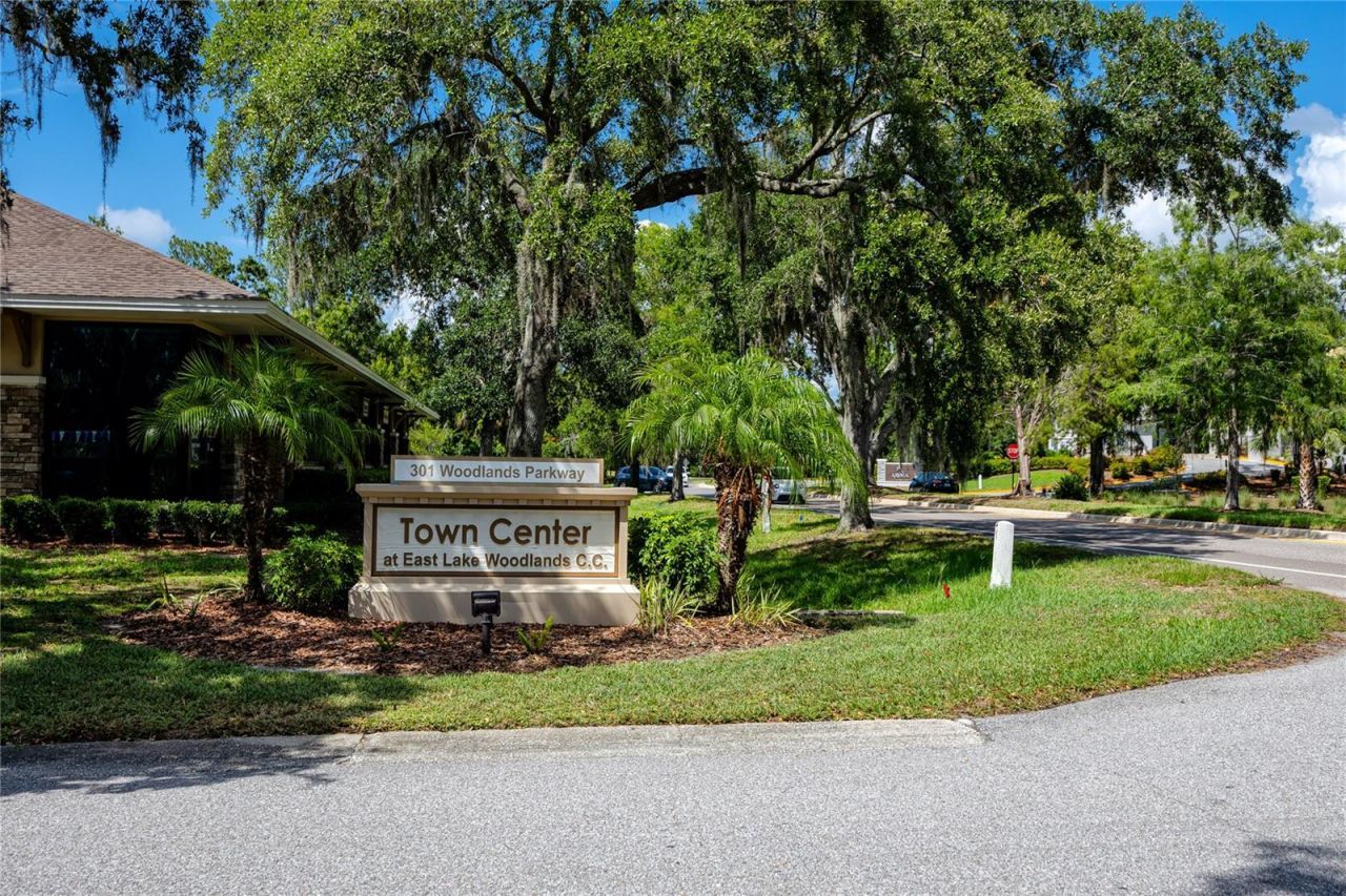 1471 Briargrove Way, Oldsmar, FL 34677 Photo