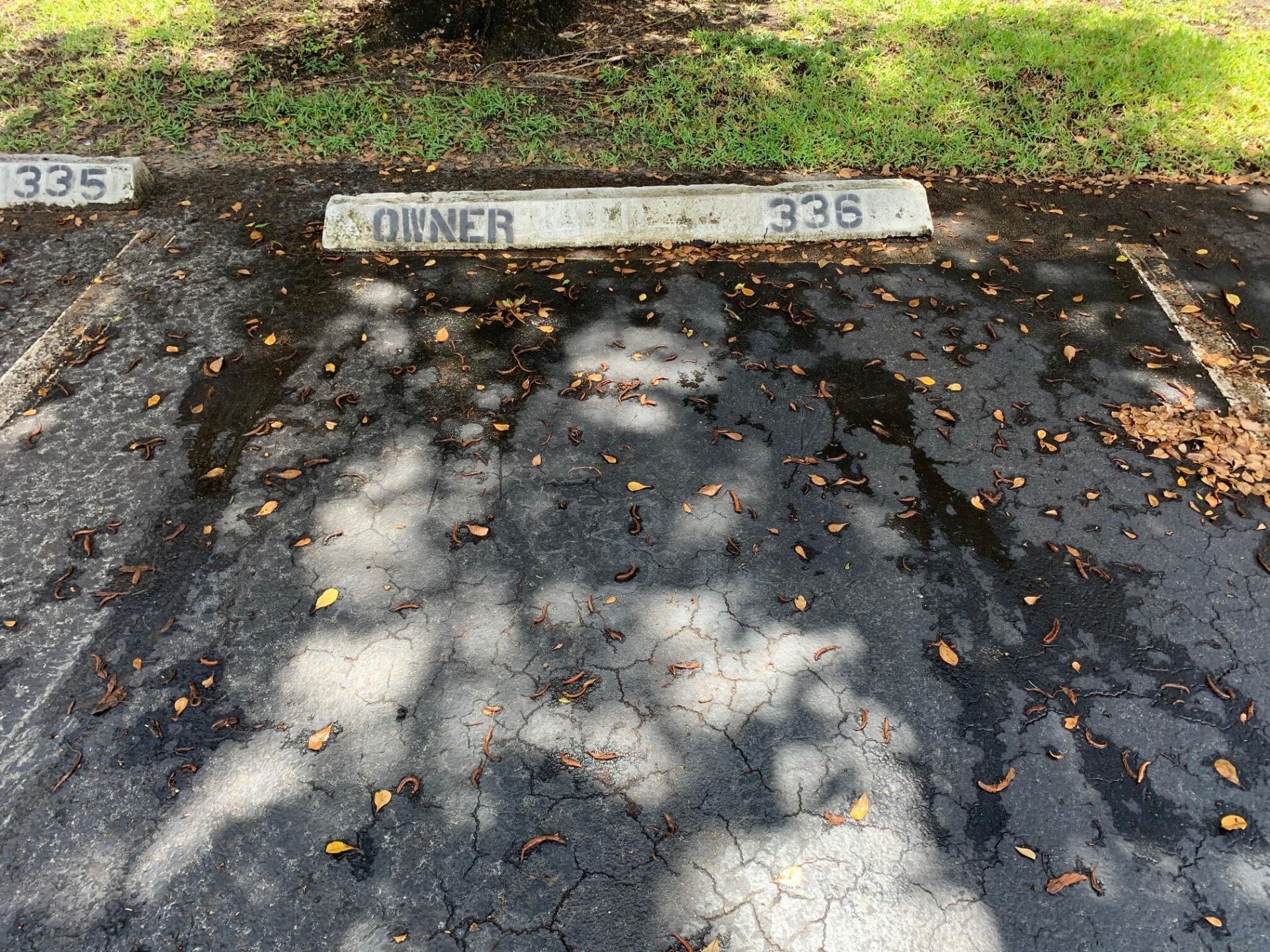 8350 Sands Point Boulevard, Unit E202, Tamarac, FL 33321 Photo