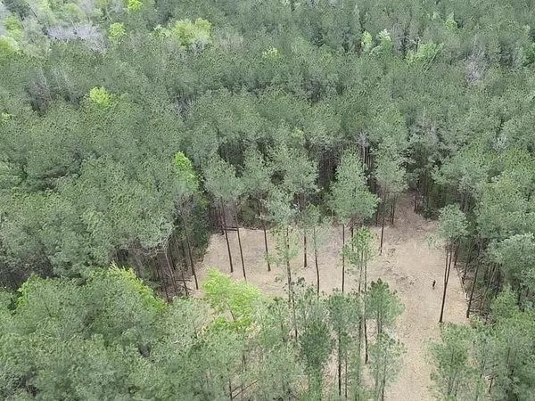 TBD HARTS Lane, Kentwood, LA 70444