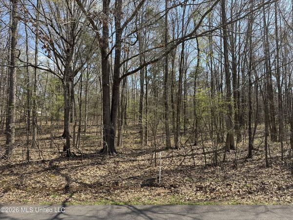 0 Steele Road, Hernando, MS 38632