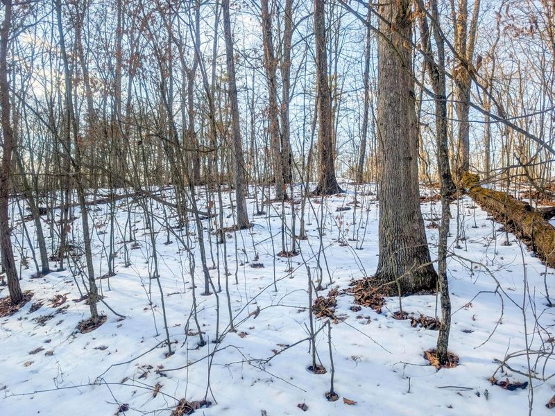 0 Tract 16 Ch 59 , Cutler, OH 45724 Photo 1