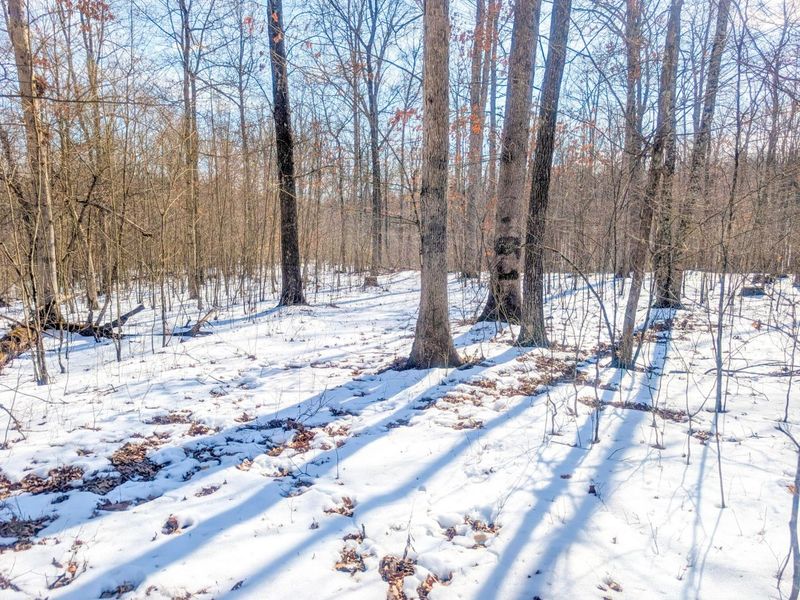 0 Tract 16 Ch 59 , Cutler, OH 45724 Photo 11