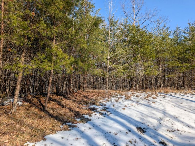 0 Tract 16 Ch 59 , Cutler, OH 45724 Photo 12