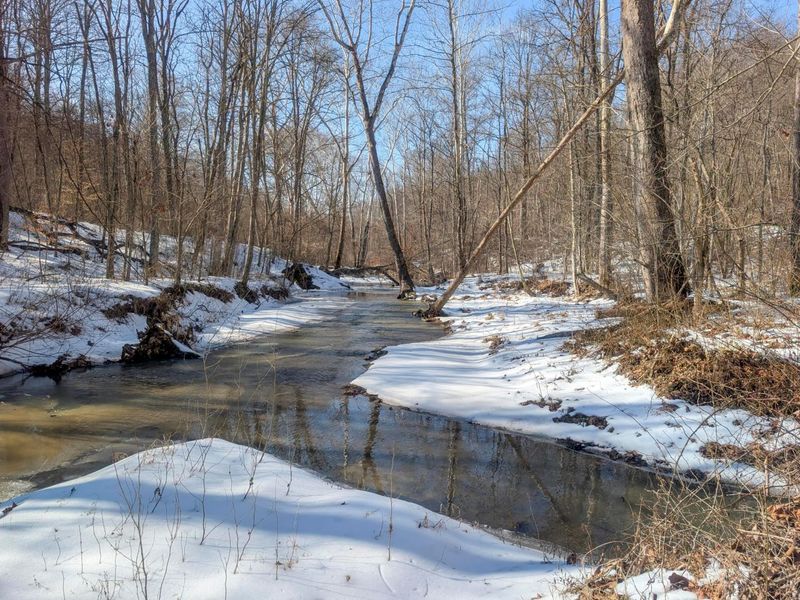 0 Tract 16 Ch 59 , Cutler, OH 45724 Photo 13