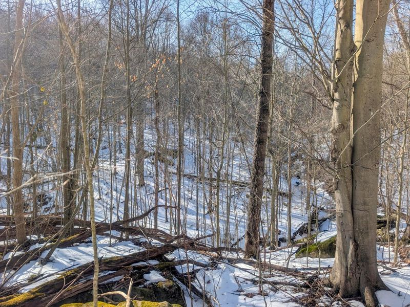 0 Tract 16 Ch 59 , Cutler, OH 45724 Photo 14