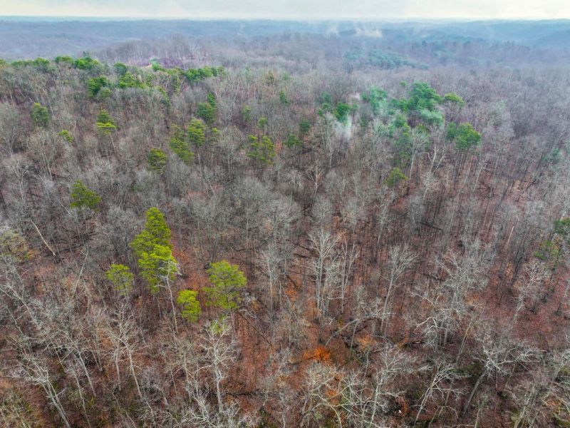 0 Tract 16 Ch 59 , Cutler, OH 45724 Photo 16