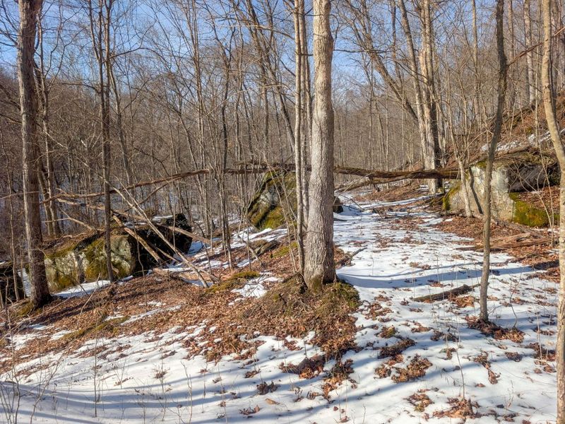 0 Tract 16 Ch 59 , Cutler, OH 45724 Photo 19