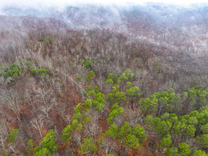 0 Tract 16 Ch 59 , Cutler, OH 45724 Photo 22