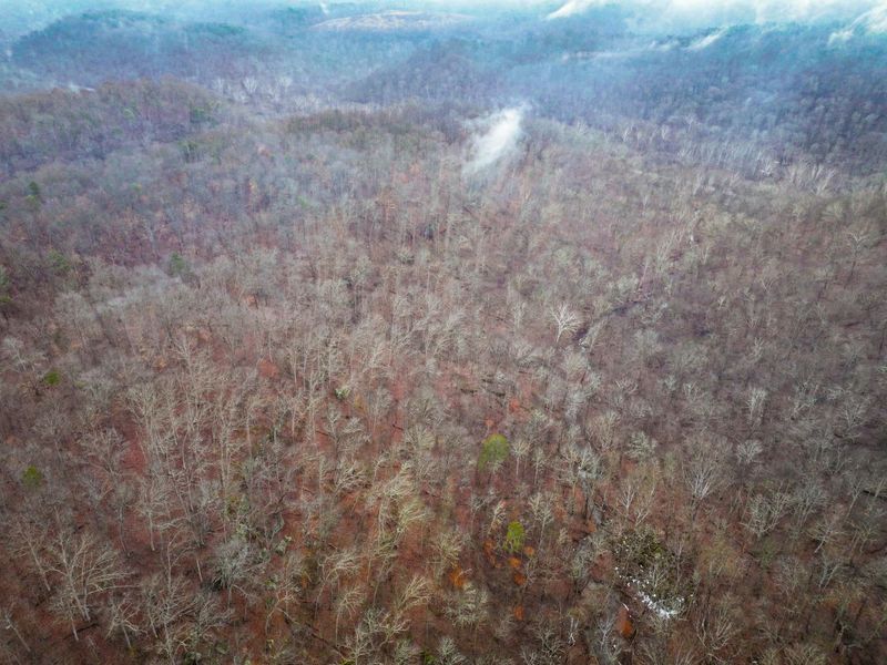 0 Tract 16 Ch 59 , Cutler, OH 45724 Photo 24