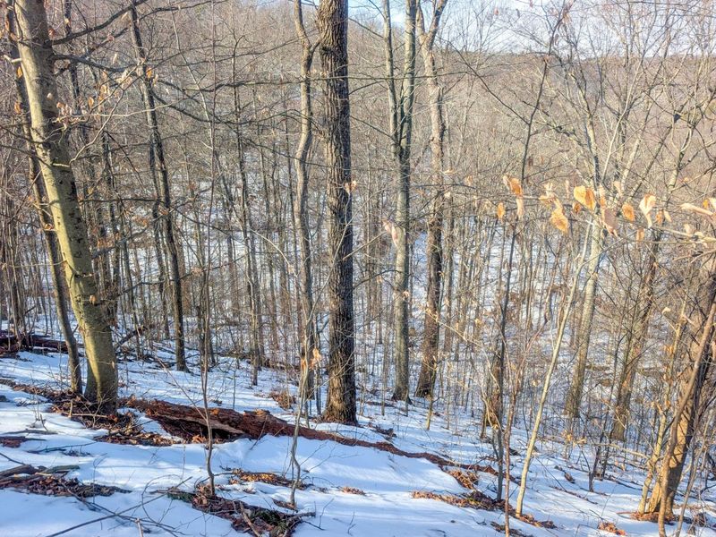 0 Tract 16 Ch 59 , Cutler, OH 45724 Photo 25