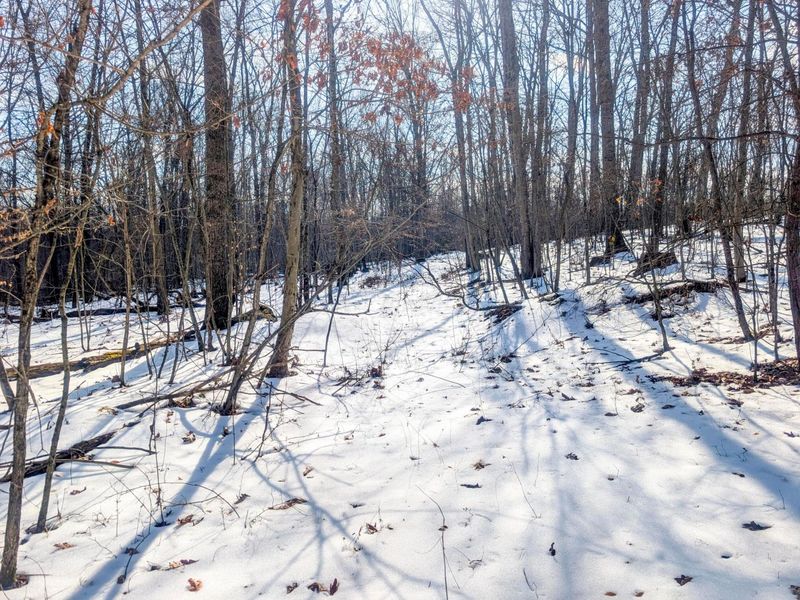 0 Tract 16 Ch 59 , Cutler, OH 45724 Photo 3