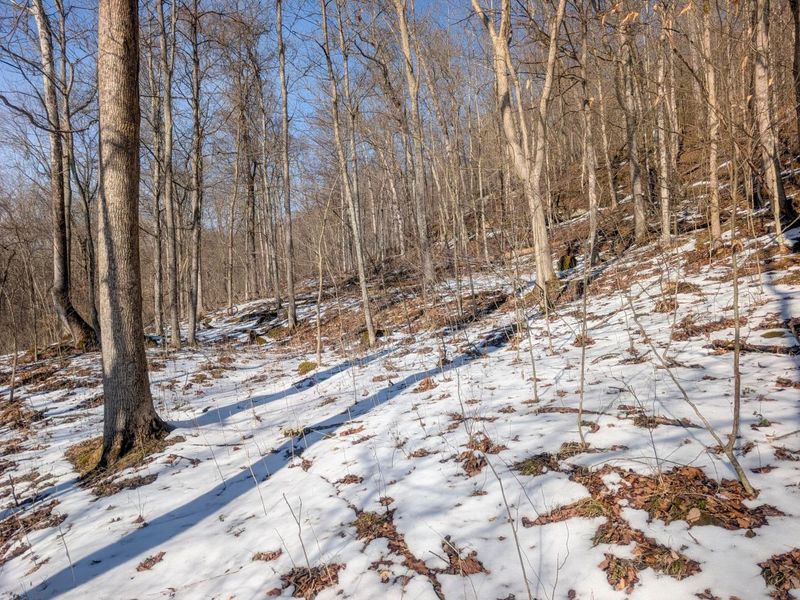 0 Tract 16 Ch 59 , Cutler, OH 45724 Photo 32