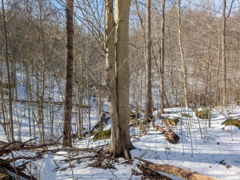 0 Tract 16 Ch 59 , Cutler, OH 45724 Photo 34